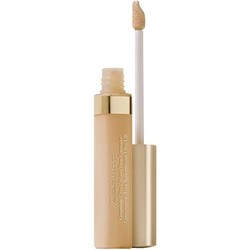 Elizabeth Arden Lifte and Conceal